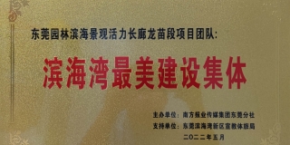 喜報丨東莞園林榮獲“濱海灣最美建設集體”殊榮